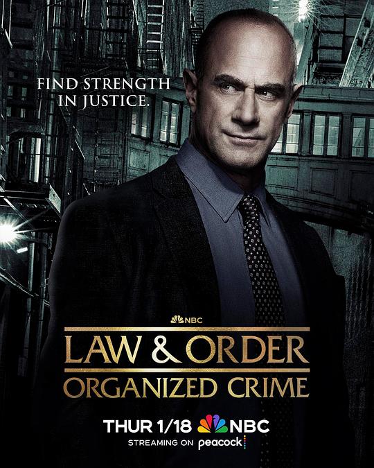 法律与秩序：组织犯罪 第四季1